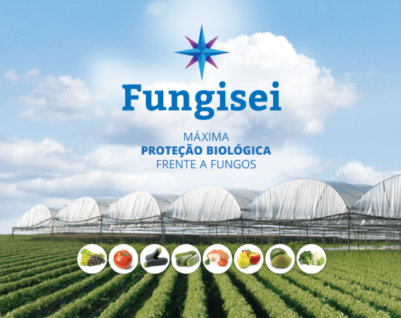 Lançamento novo bio-fungicida Fungisei