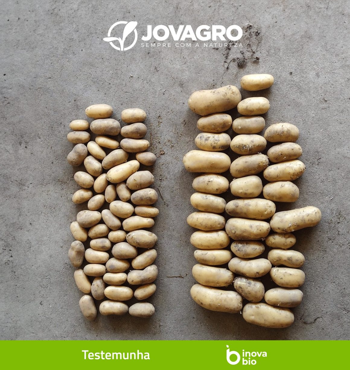 𝗧𝗲𝘀𝘁𝗲𝗺𝘂𝗻𝗵𝗮 𝘃𝘀 𝗣𝗿𝗼𝘁𝗼𝗰𝗼𝗹𝗼 𝗜𝗻𝗼𝘃𝗮𝗯𝗶𝗼