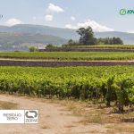 🌿Primeira vinha da Península Ibérica certificada com Resíduo Zero 🌿