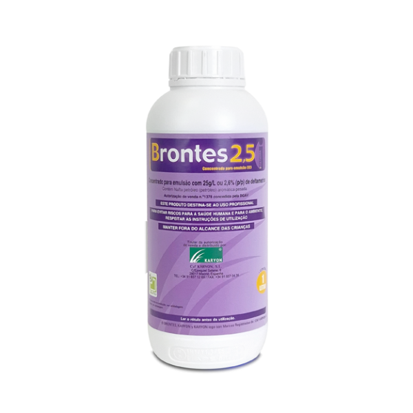 Brontes 2.5