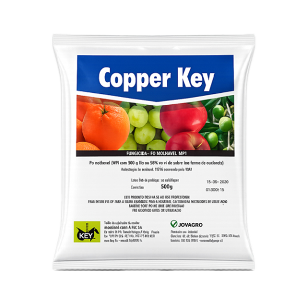 Copper Key