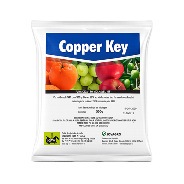 Copper Key