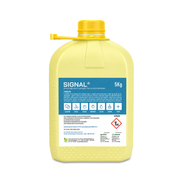 Signal