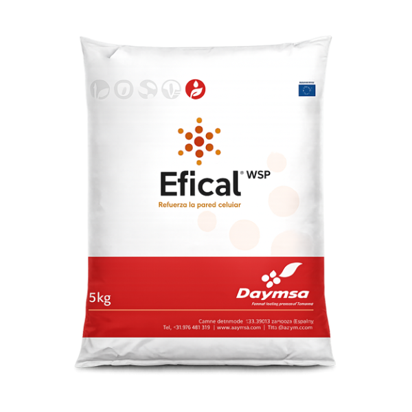 Efical-WSP