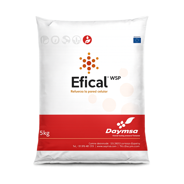 Efical-WSP