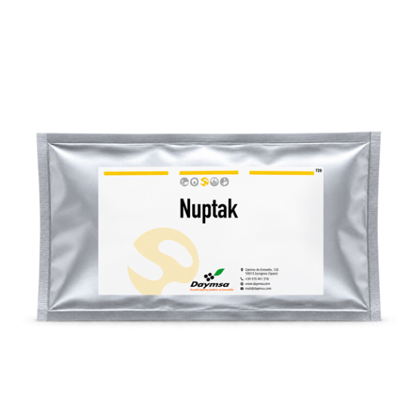 Nuptak