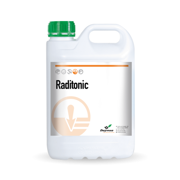 Raditonic