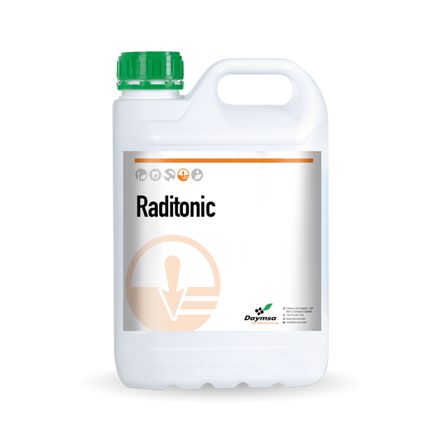 Raditonic