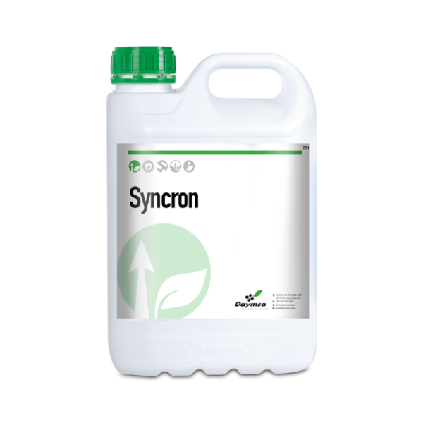 Syncron