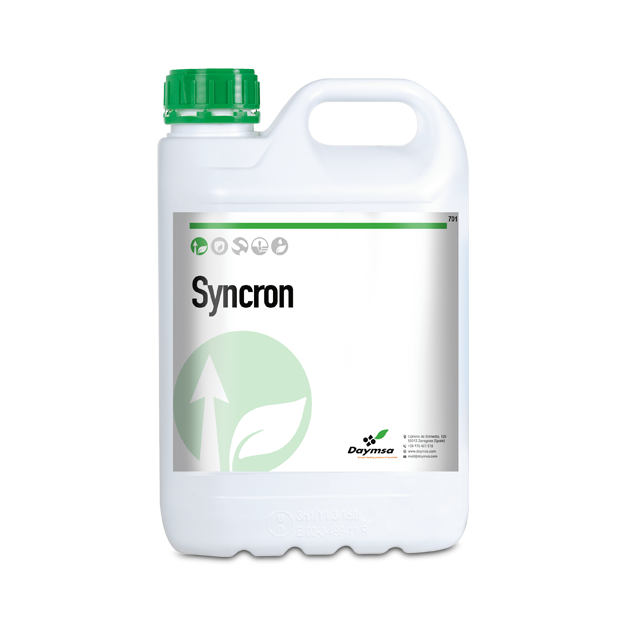 Syncron