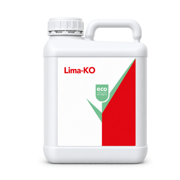Lima-KO