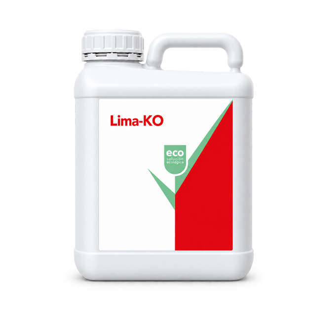 Lima-KO
