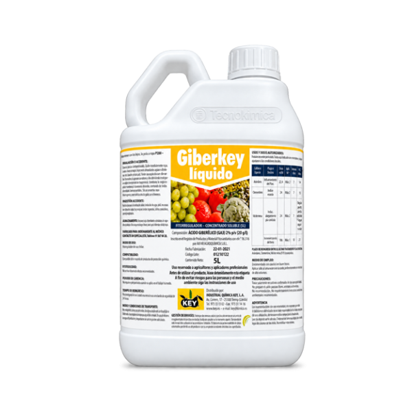 Giberkey