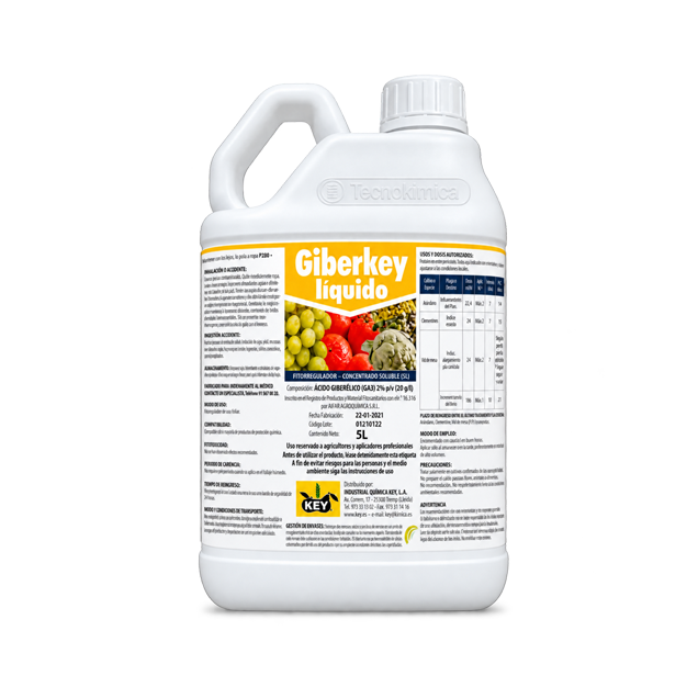 Giberkey