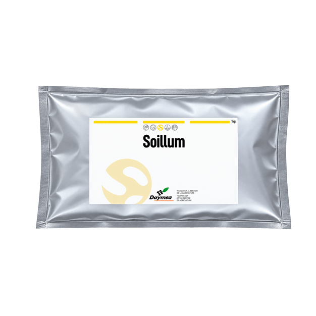 Soillum